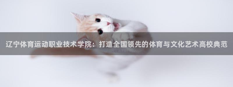 凯发官方正版app娱乐下载:辽宁体育运动职业技术学院:打造全