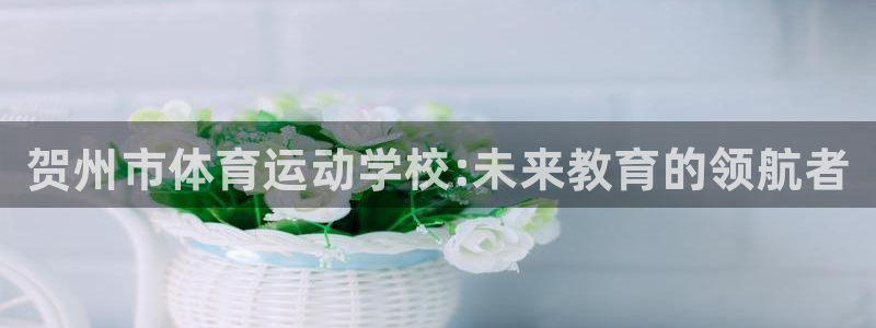 德国凯发官方正版app集团:贺州市体育运动学校:未来教育的领