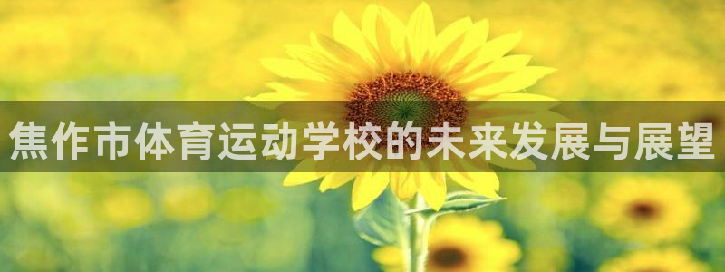 凯发官网下载招商:焦作市体育运动学校的未来发展与展望