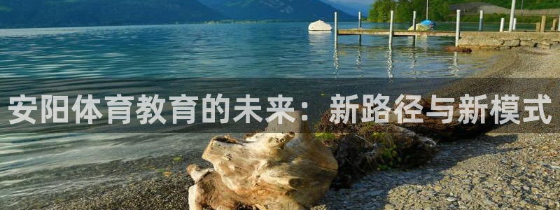 凯发官方正版app娱乐是那个系列的台子:安阳体育教育的未来: