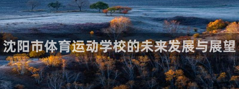 凯发官网下载招商电话号码是多少:沈阳市体育运动学校的未来发展