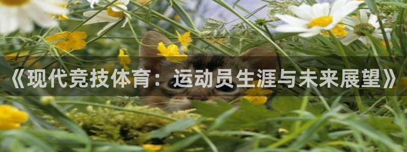 凯发官网下载招商电话地址:《现代竞技体育:运动员生涯与未来展