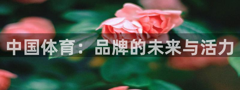 凯发官网下载娱乐:中国体育:品牌的未来与活力